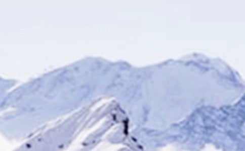 云南玉龍雪山導(dǎo)游詞7篇