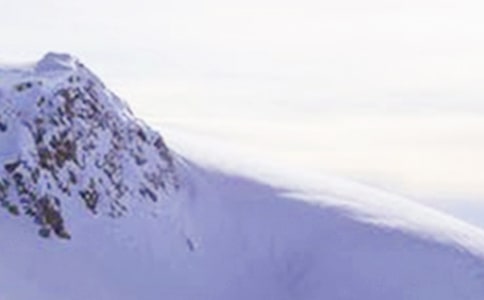 ����ѩɽ�����ĵ�(15ƪ)