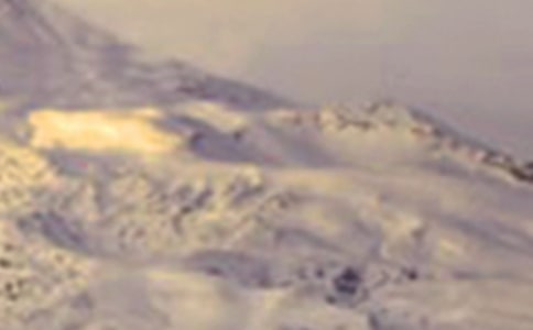 ������ѩɽ����15ƪ