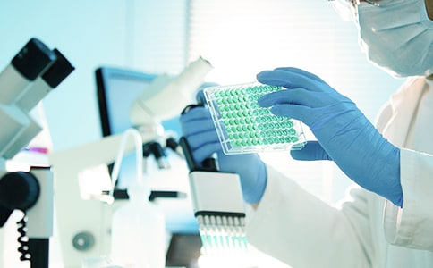 2016���Ї��Ӱˇ�g(sh��)�о����Ĺ��x���cӰҕ�W(xu��)�Tʿ�W(xu��)λ�о���������Ϣ