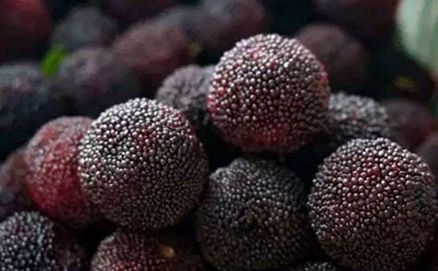 關于摘楊梅的作文范文