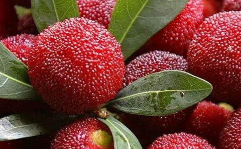 �P(gu��n)�ڗ�÷����(�R��8ƪ)