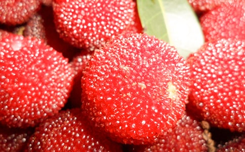 �Ґ۹��l(xi��ng)�ė�÷