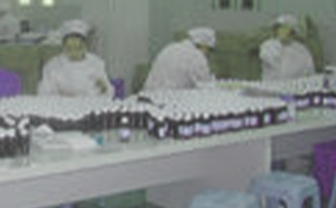 藥廠員工工作總結(jié)