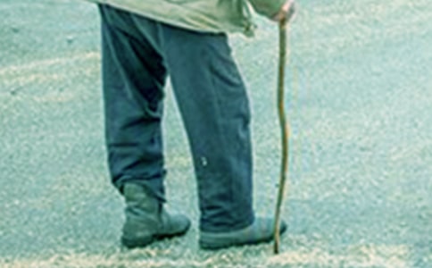 給爺爺奶奶的一封信