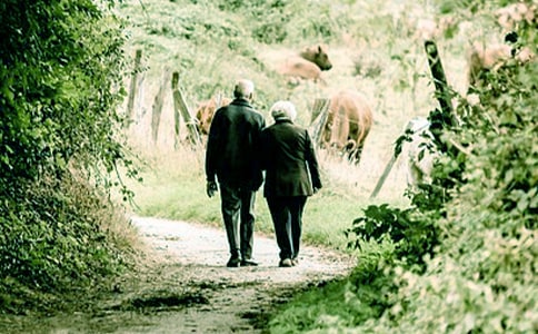 關(guān)于給爺爺奶奶的一封信作文合集10篇