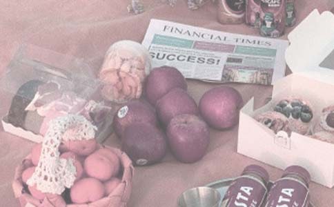 野餐的作文(通用42篇)