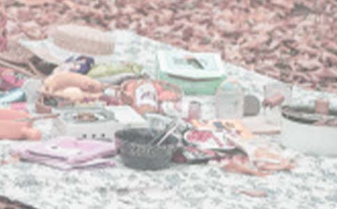 С���Z(y��)�Խ̰���С�i���ֵ�Ұ��