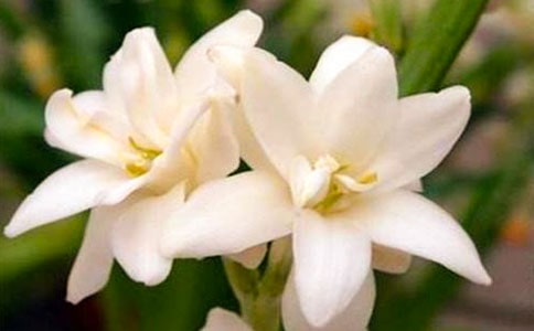 ҹ�����^����ӛ3ƪ