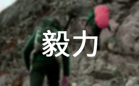 關于毅力作文(匯編8篇)