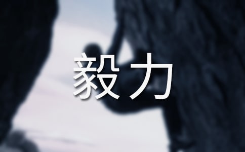 不可或缺的毅力作文