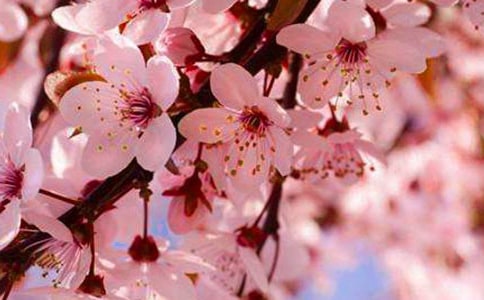 �ѻ�����������