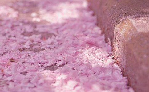 [��]�P(gu��n)�ڙѻ�������3ƪ