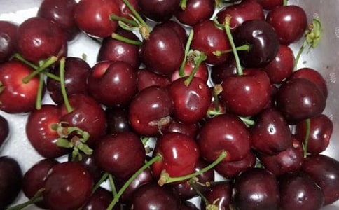 [��]�P(gu��n)�ڙ��ҵ�����10ƪ