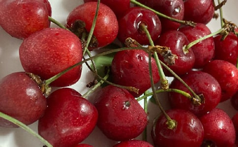 ���ҜϵĴ����x���