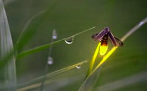 [��]�P(gu��n)��Ξ���x����