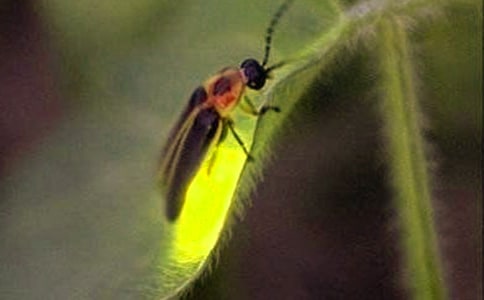 �P(gu��n)��Ξ���x�����ģ����]��