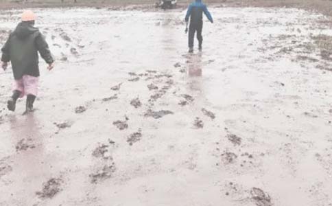 ���M������ɽ�G�M�����A(y��)�y����