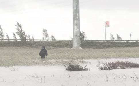 游油田樂(lè)園作文