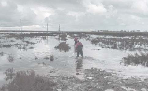 Ӱ����ﰲȫ���a(ch��n)����ӴΆ�(w��n)�}�����c̽ӑ