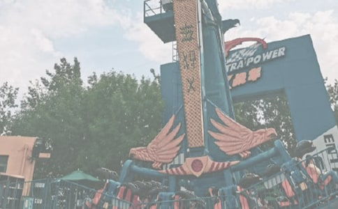 屋頂?shù)挠螛穲@作文