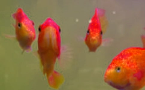 �~���~�N�\(y��n)ݔ���g(sh��)Ҫ��