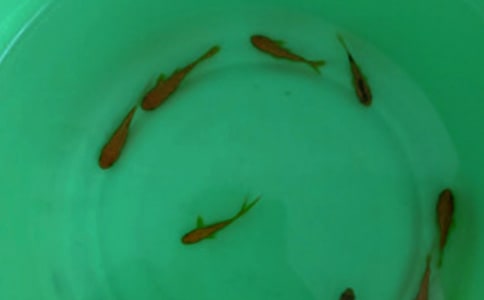 �����~��ُ�N��ͬ����