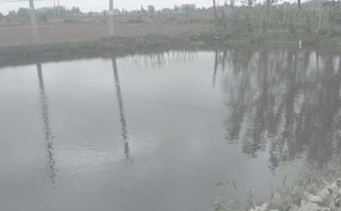 �~���а���ͬ(���\15ƪ)