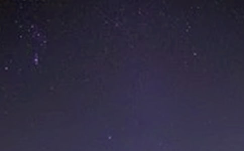 �������۰�̖�����w��300������