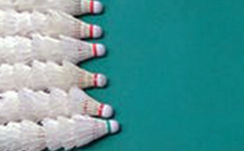 ��ë��̌WӋ��(����15ƪ)