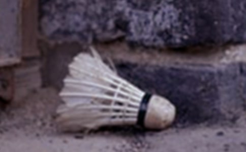 打羽毛球的日記