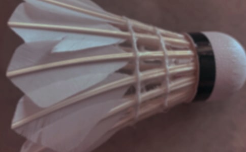 我愛打羽毛球作文