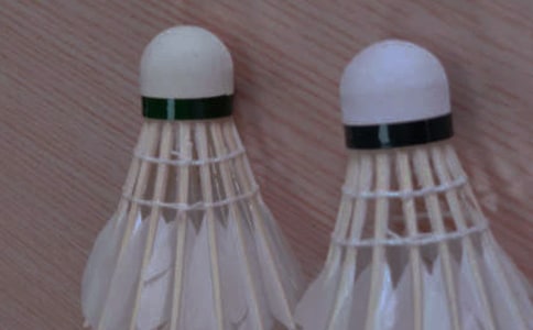 ����ë������