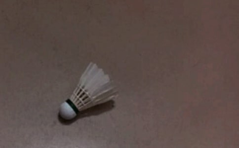 【熱門】打羽毛球日記