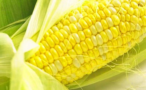 玉米經(jīng)典散文隨筆