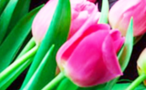 �P(gu��n)�������������