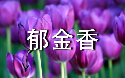 關(guān)于郁金香的學(xué)生作文