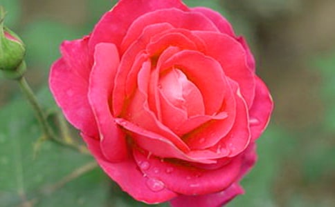 ���ġ��^���¼�����350��