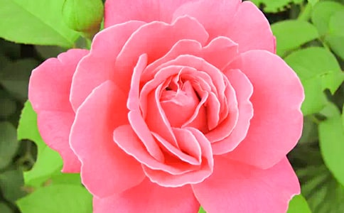 �^���¼�������ӛ