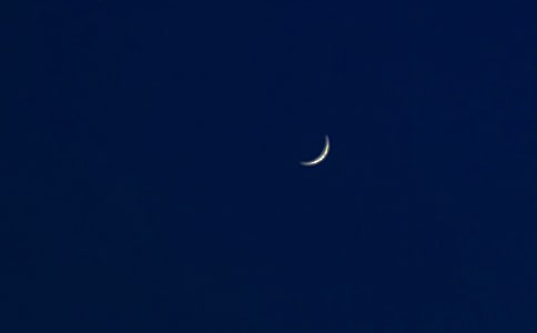 關(guān)于月亮的作文15篇【實(shí)用】