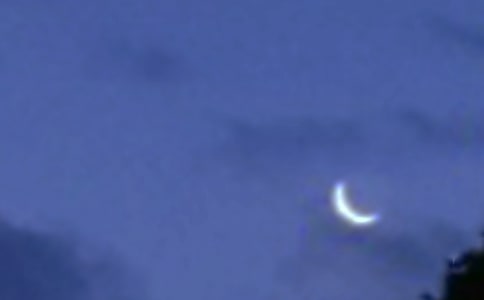 關(guān)于月亮作文匯總【15篇】