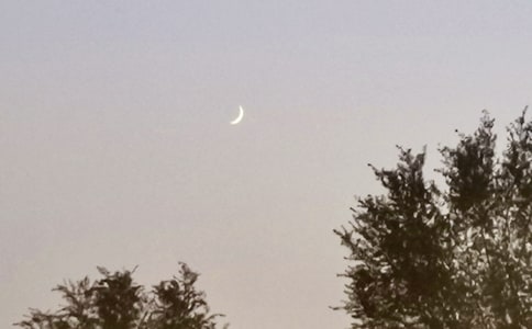 [���x]�P(gu��n)������������15ƪ