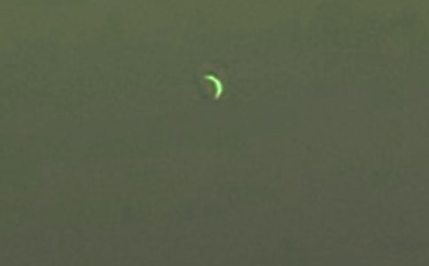 ��������(�MԊ)