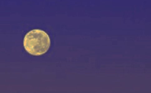 �P���A������300��3ƪ