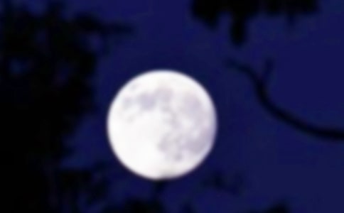 《月圓夜的傳說》讀后感