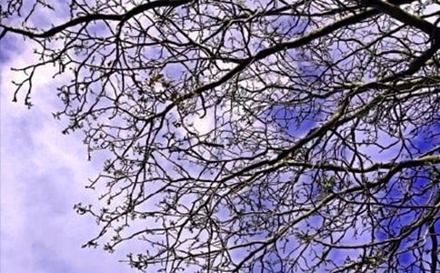 �����������簲���Z35��