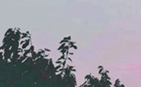 簡(jiǎn)單暖心早安寄語(yǔ)大全115句