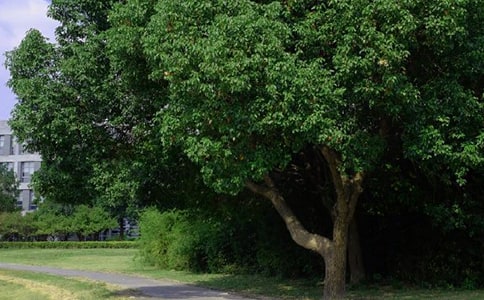 有關(guān)暖心早安句子大全90句精選