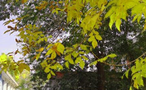 常見暖心早安寄語(精選145句)