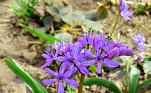 經典暖心早安寄語30句精選